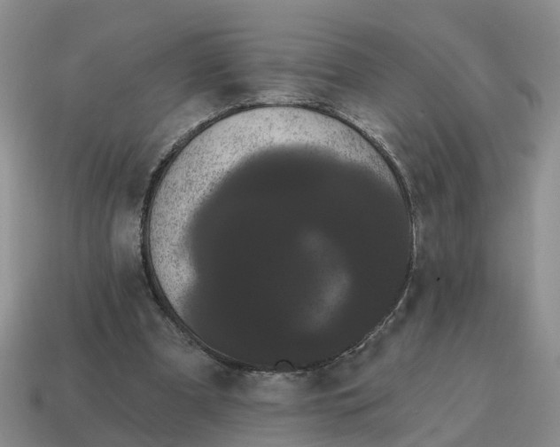 X0000114580297200911091241