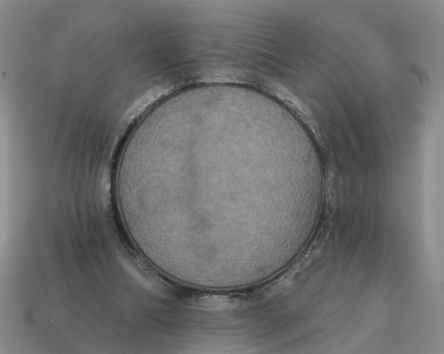 X0000114580298200911091241