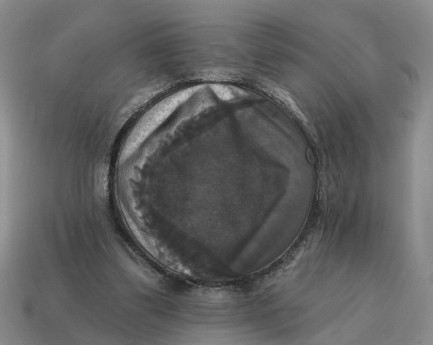 X0000114580299200911091241