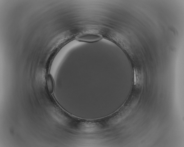 X0000114580300200911091241