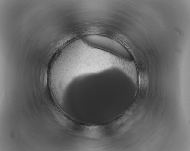 X0000114580301200911091241