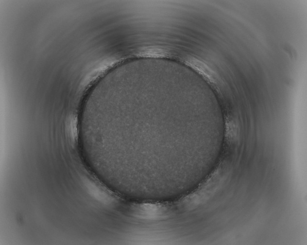 X0000114580302200911091241