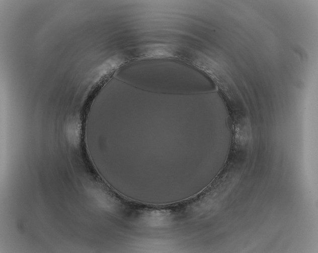 X0000114580304200911091241