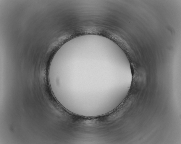 X0000114580306200911091241