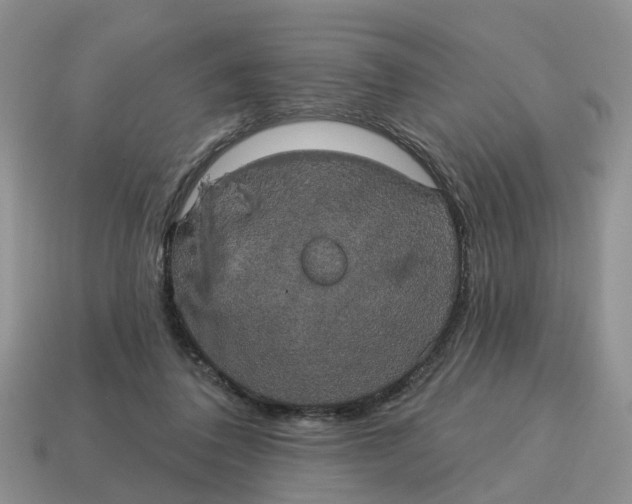 X0000114580308200911091241