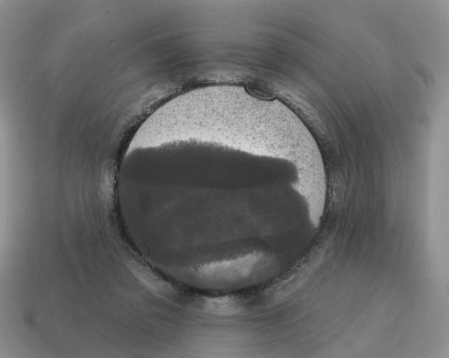 X0000114580309200911091241