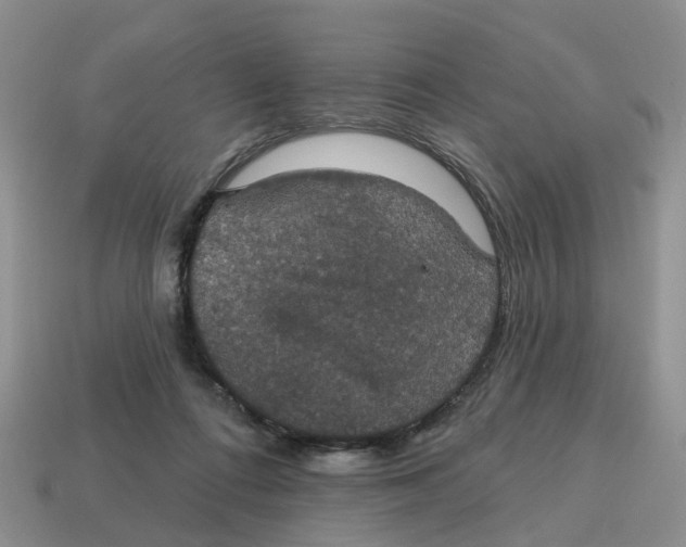 X0000114580312200911091241