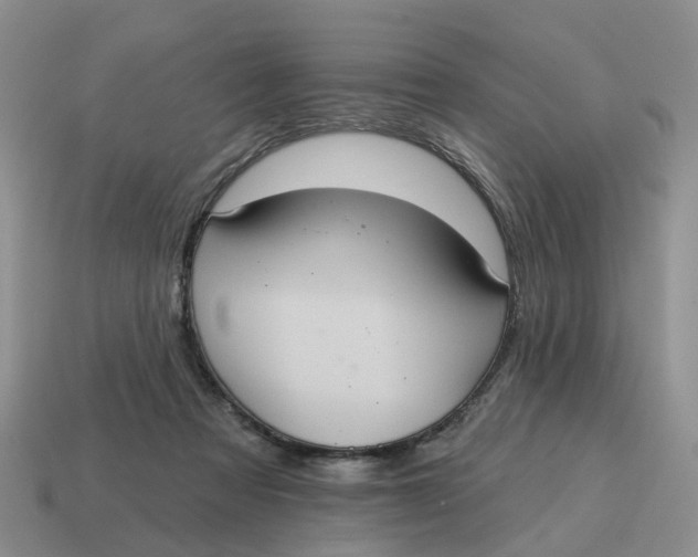 X0000114580313200911091241