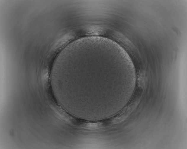 X0000114580314200911091241