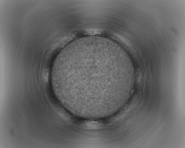 X0000114580315200911091241