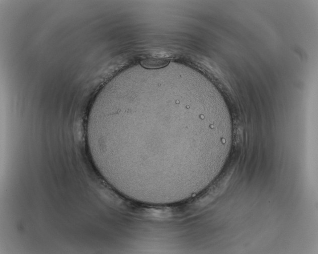 X0000114580317200911091241