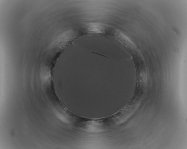 X0000114580320200911091241