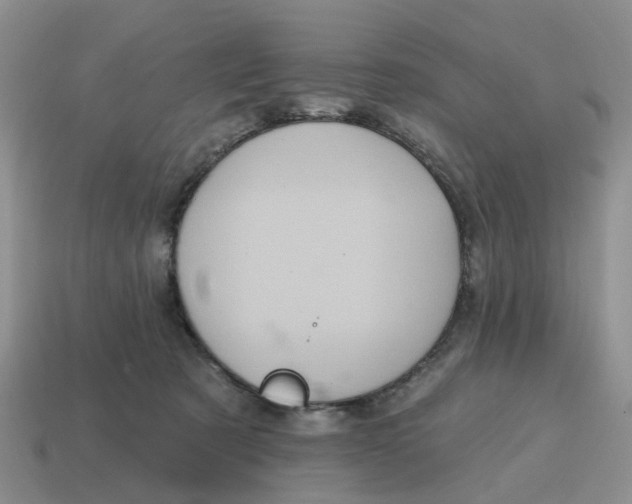 X0000114580321200911091241