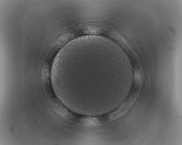 X0000114580322200911091241