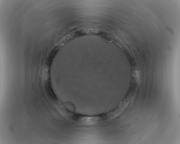 X0000114580323200911091241