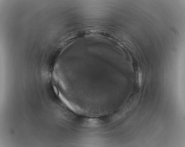 X0000114580324200911091241