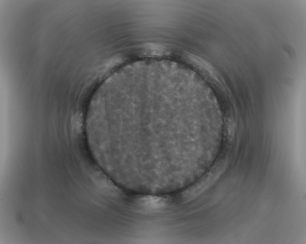 X0000114580326200911091241