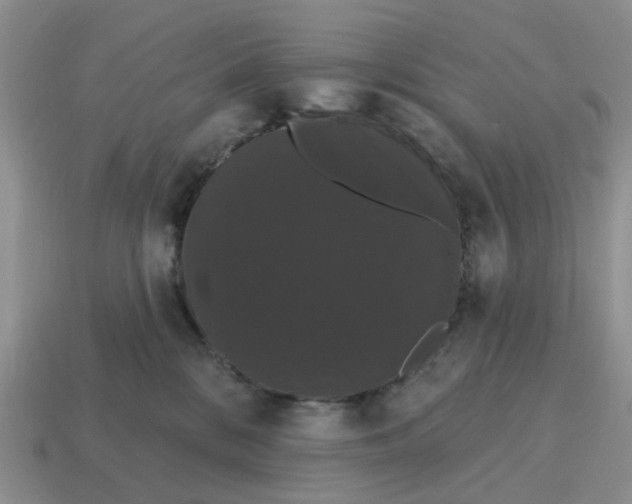 X0000114580328200911091241