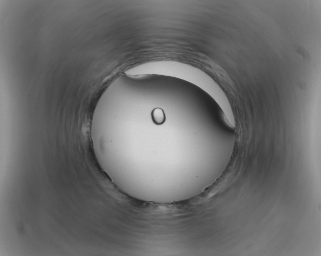 X0000114580329200911091241