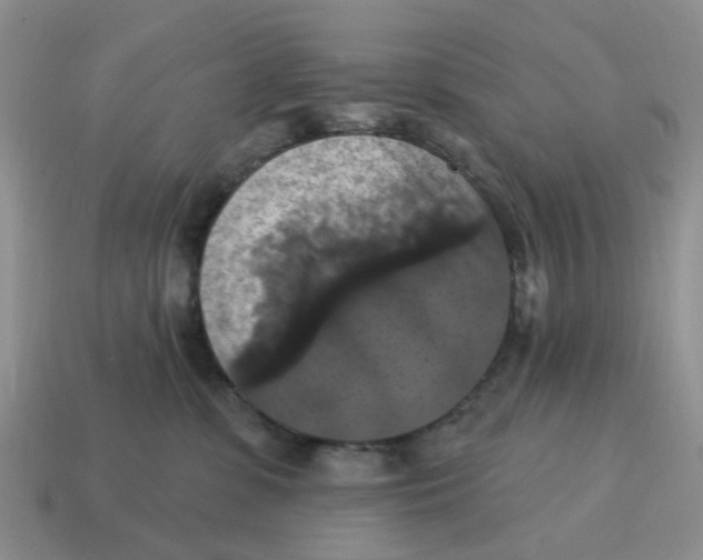 X0000114580331200911091241