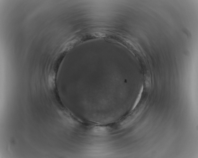 X0000114580332200911091241