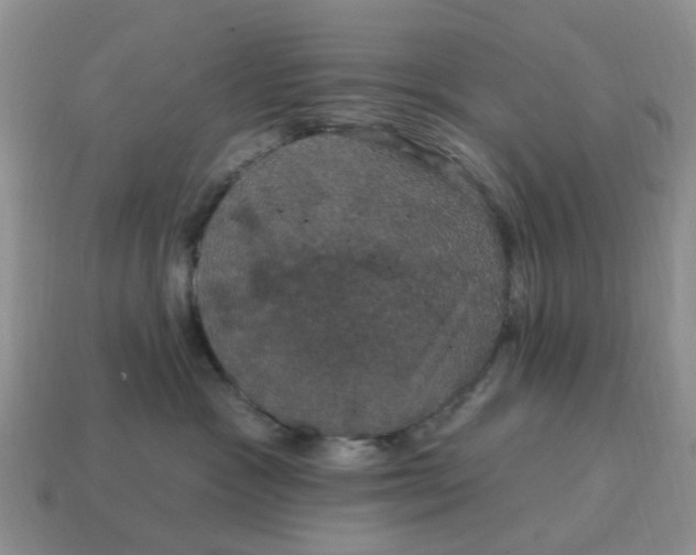 X0000114580333200911091241