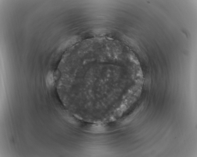 X0000114580335200911091241