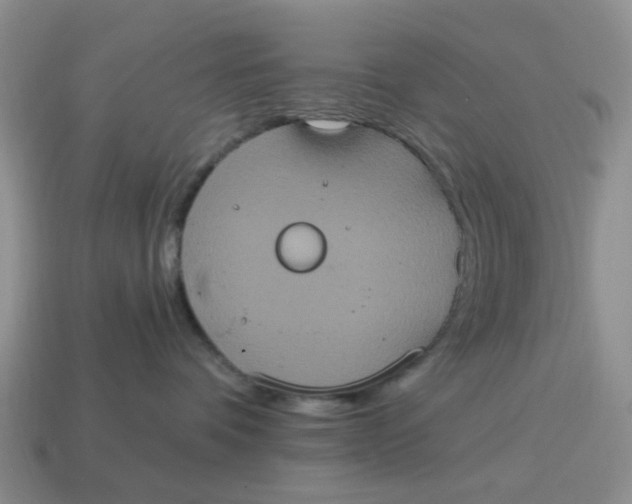 X0000114580336200911091241