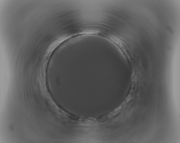 X0000114580337200911091240