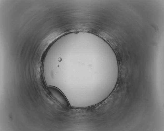 X0000114580338200911091240