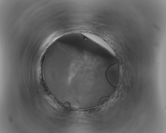 X0000114580339200911091240