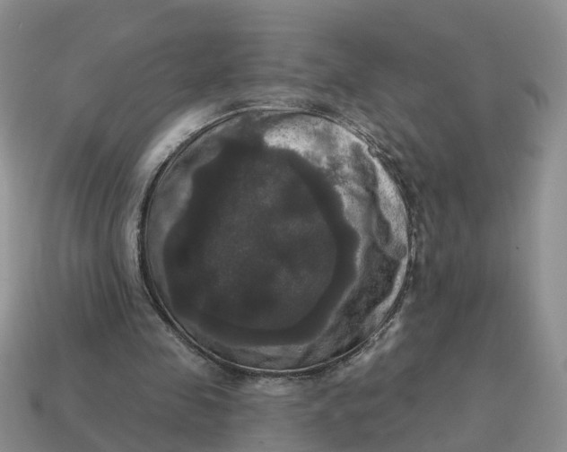 X0000114580341200911091240