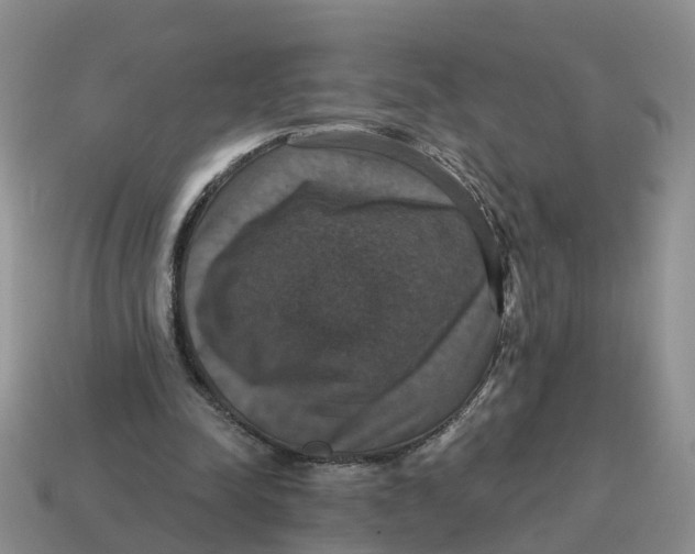 X0000114580342200911091240