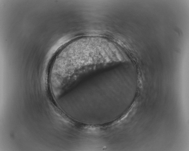 X0000114580343200911091240