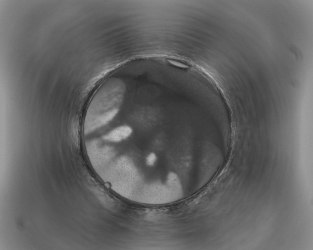 X0000114580345200911091240