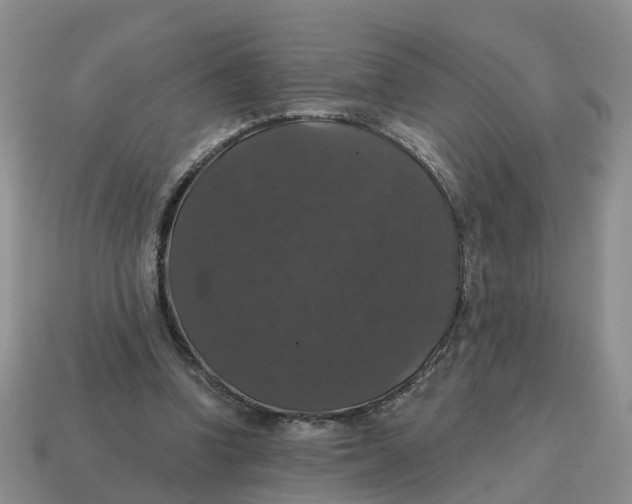 X0000114580346200911091240