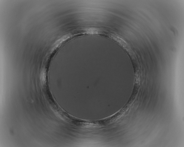 X0000114580347200911091240