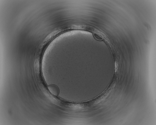 X0000114580349200911091240