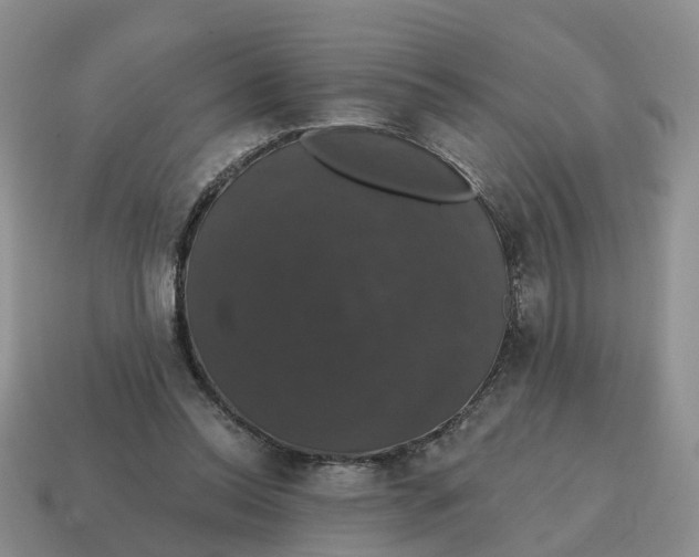 X0000114580350200911091240