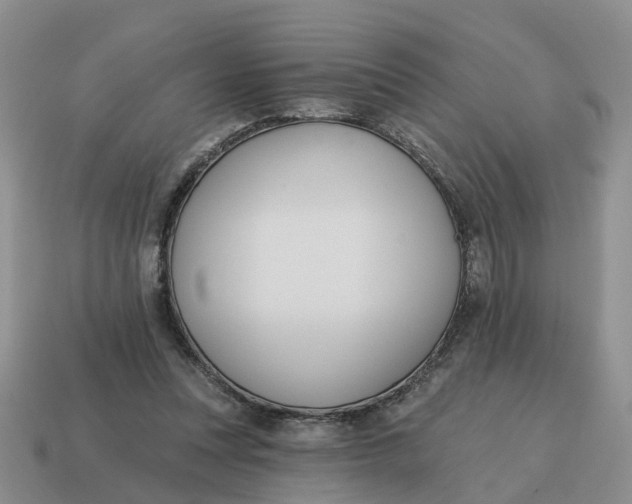 X0000114580351200911091240