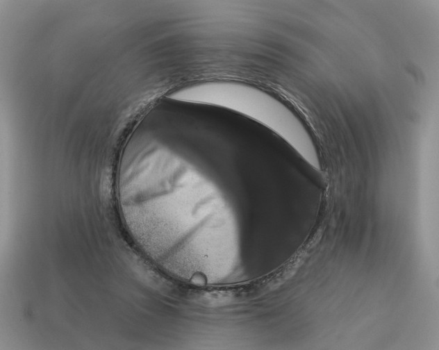 X0000114580353200911091240