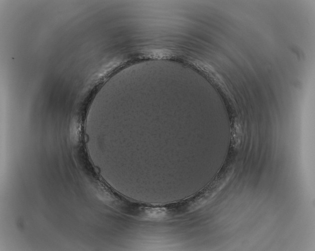 X0000114580355200911091241