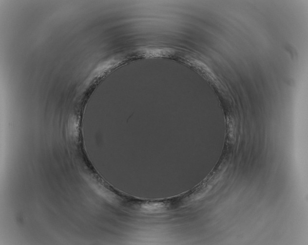 X0000114580357200911091241