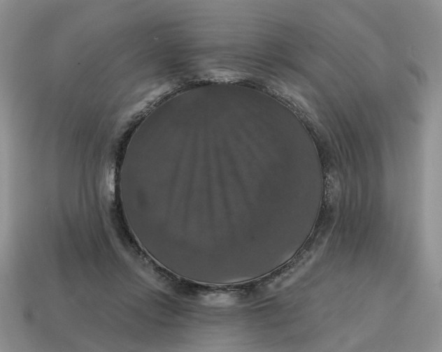 X0000114580358200911091241