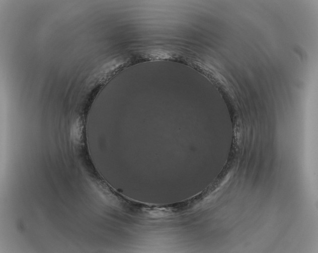 X0000114580359200911091241