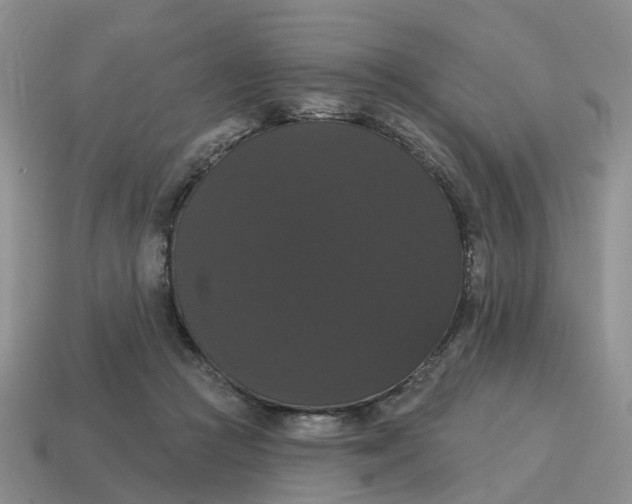 X0000114580361200911091241