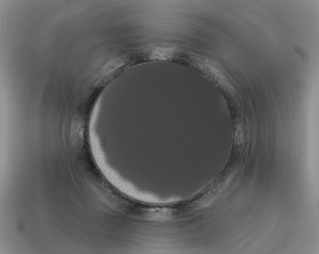 X0000114580363200911091241