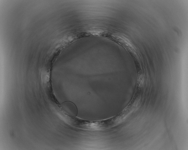 X0000114580365200911091241