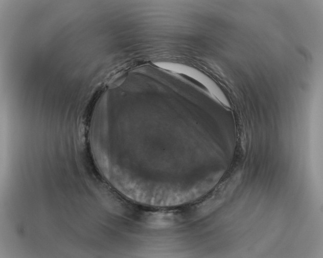 X0000114580366200911091241