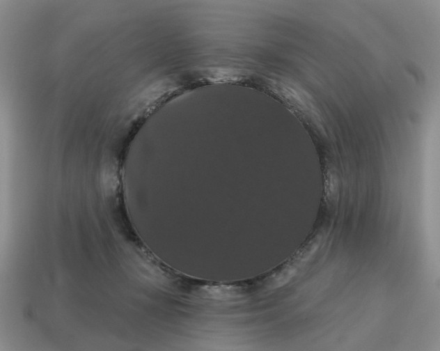 X0000114580367200911091241